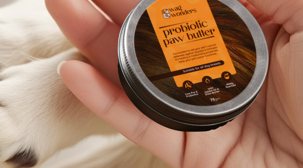 How Often Should You Apply Paw Butter to Your Dog’s Paws?