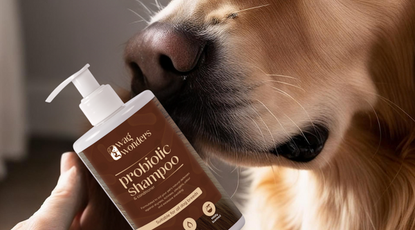 The Truth About Fragrances in Dog Grooming Products