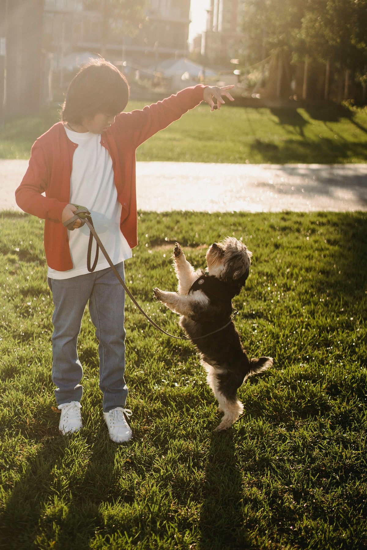 Walk Essentials