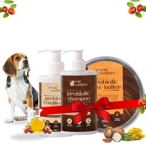 Probiotic Care Kit with 200ml Shampoo