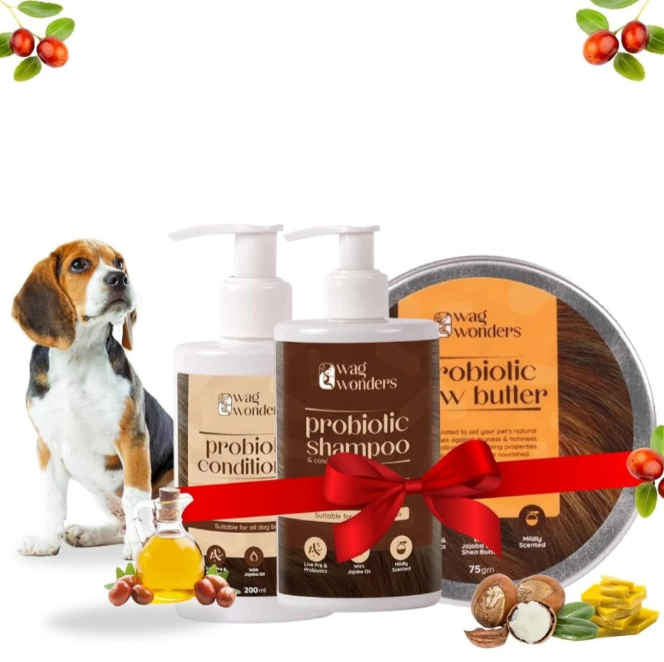 Probiotic Grooming Kit with 400ml Shampoo - Main Image