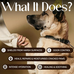 Probiotic Paw Butter for Softest Paws