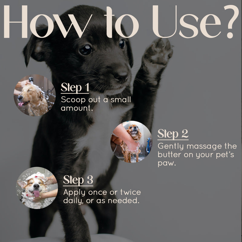 Probiotic Paw Butter for Softest Paws