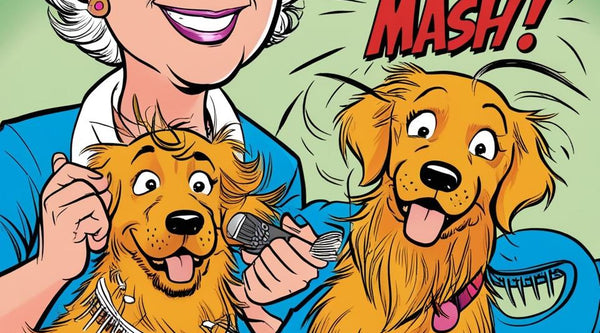 Grooming Mistakes Pet Parents Make and How to Avoid Them