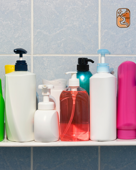 How to Choose the Right Dog Shampoo for Different Skin Conditions