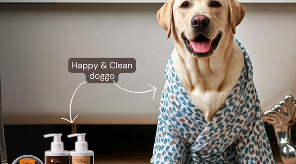 Why Natural Ingredients Are Key to Your Dog’s Grooming Routine