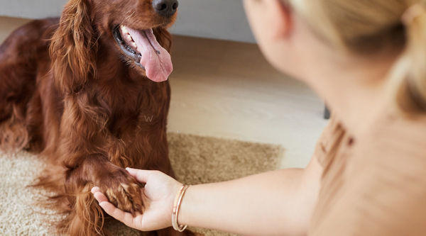 5 Ways Paw Butter Helps Dogs with Sensitive Skin