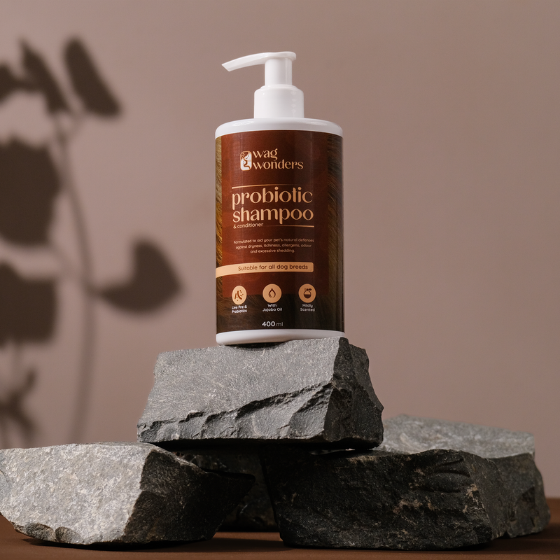 Probiotic Shampoo for Cleanest Fur - 400ml