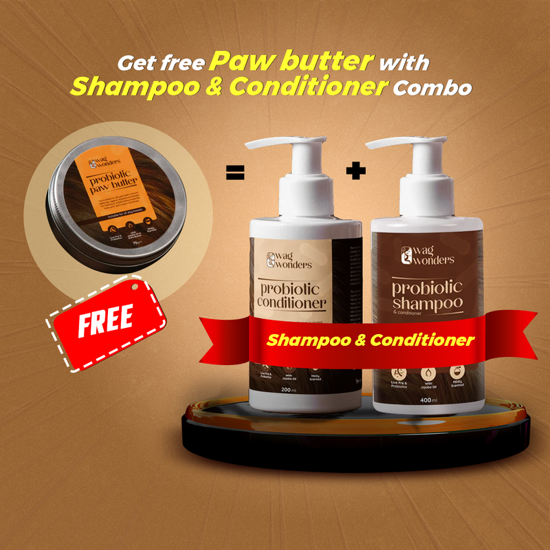 Probiotic Care with 200ml Combo Buy Shampoo & Conditioner Combo Get free Paw butter(Festive Sale)
